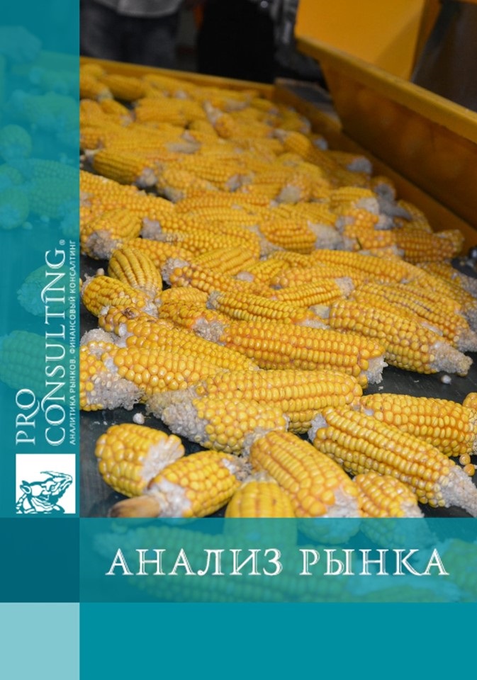 Анализ мирового рынка продуктов переработки кукурузы. 2025 год